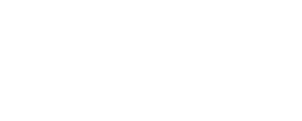 Visseuse électrique CSC3620C – Casals Tools